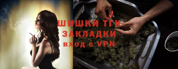 индика Аркадак