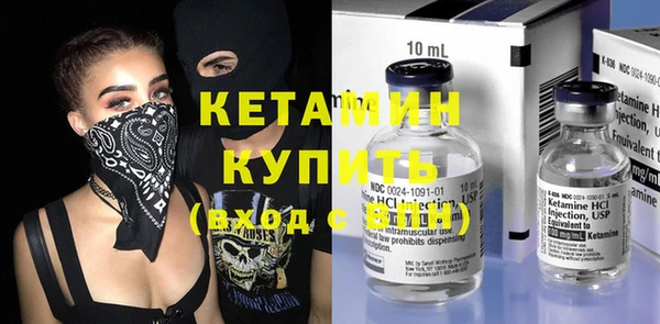 крисы Алексин