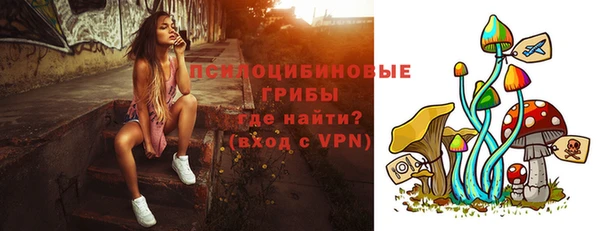крисы Алексин