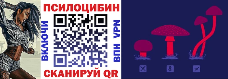 Псилоцибиновые грибы Psilocybe  продажа наркотиков  Адыгейск 